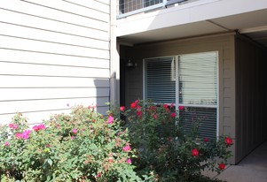 Carillon Apartments in Dallas, TX - Foto de edificio - Building Photo