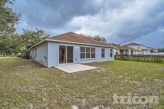13518 Red Ear Ct in Riverview, FL - Building Photo - Building Photo