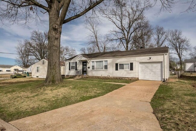 10546 Anson Dr in St. Louis, MO - Building Photo - Building Photo