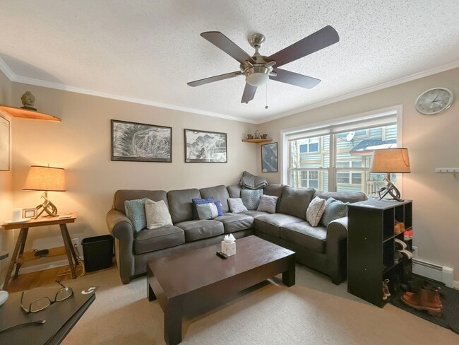 property at 257 Huron Rd