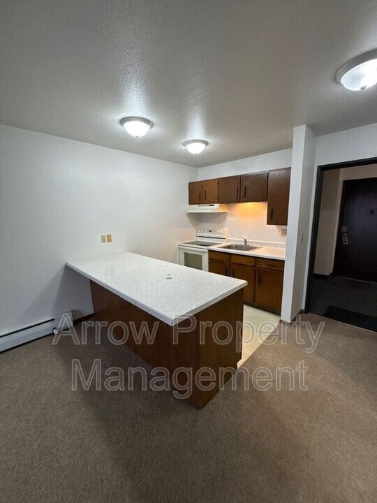 215 E Arbor Ave in Bismarck, ND - Building Photo