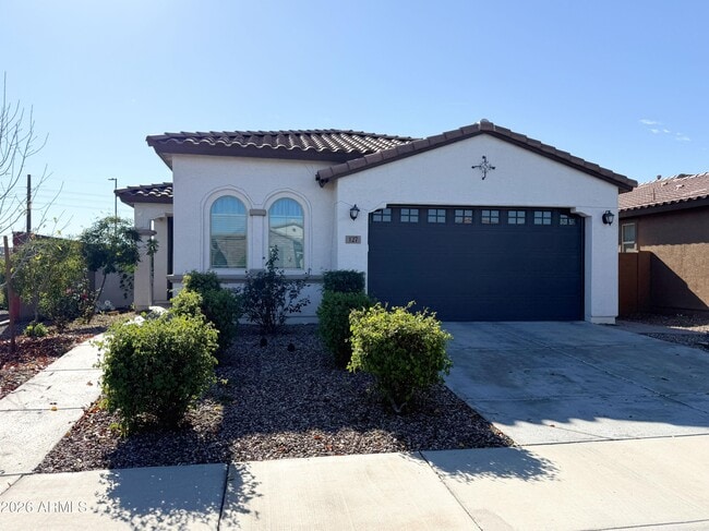 127 E Gemini Pl in Chandler, AZ - Building Photo - Building Photo