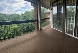 1734 Ascension Point Dr, Unit 322 in Arlington, TX - Building Photo