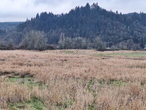 11393 Carver Rd in Clatskanie, OR - Building Photo - Building Photo
