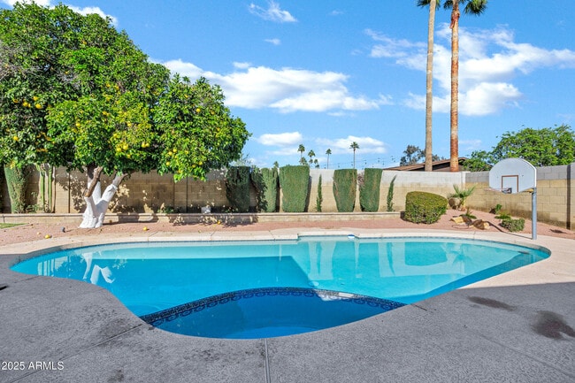 8558 E Vía De Viva in Scottsdale, AZ - Building Photo - Building Photo