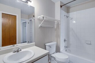 25 N Logan Ave in Colorado Springs, CO - Building Photo - Building Photo