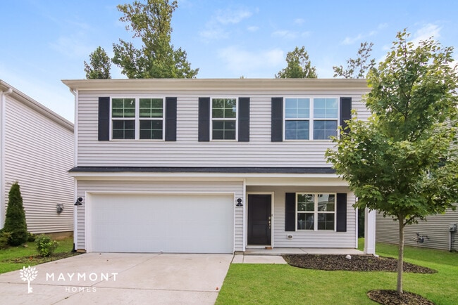 property at 905 Stolls Ln
