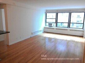 4180 N Marine Dr, Unit 512 in Chicago, IL - Building Photo