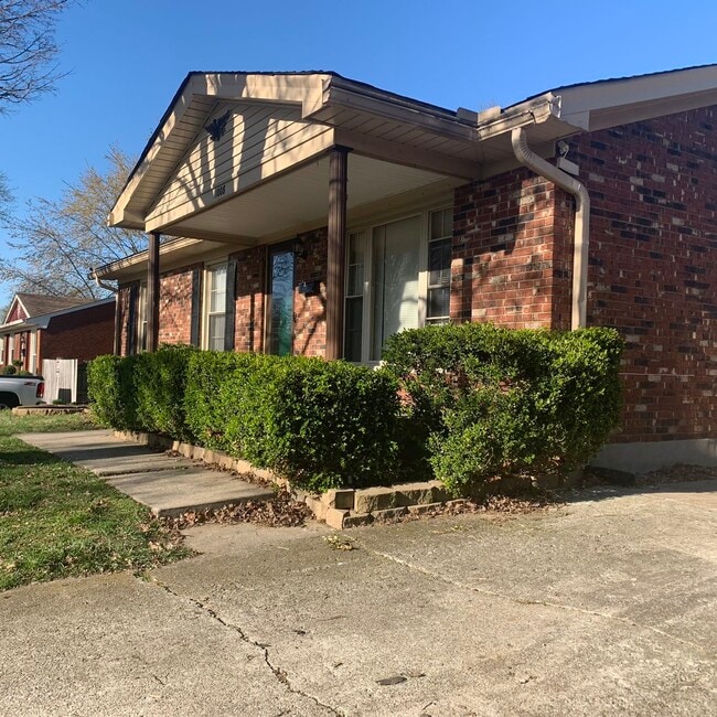 property at 11008 Albion Dr