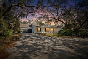 11304 Balm Riverview Rd in Riverview, FL - Building Photo