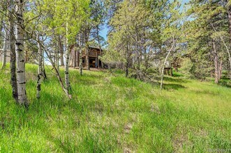 2027 Roland Dr in Bailey, CO - Building Photo - Building Photo