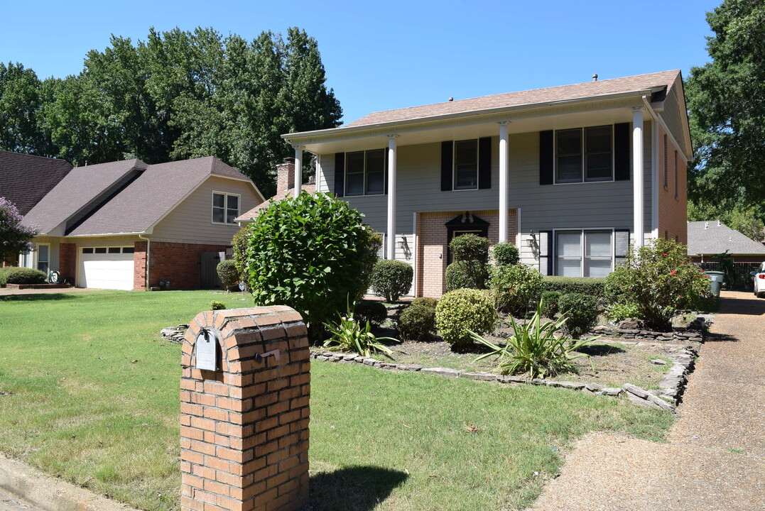 6700 Kirby Trace Cove in Memphis, TN - Building Photo