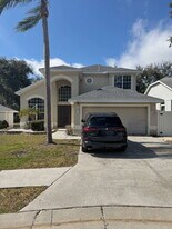 1890 Briland St in Tarpon Springs, FL - Building Photo