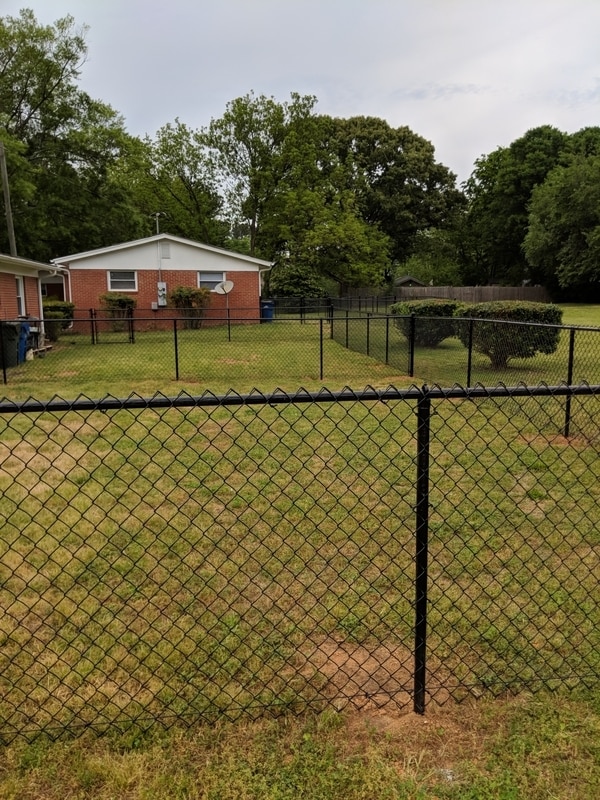 411 Rose Ln in Raleigh, NC - Building Photo - Building Photo