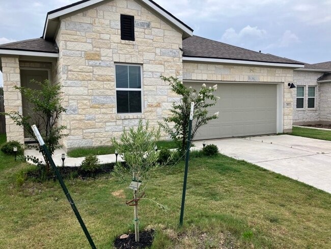 393 Gaida Loop in Georgetown, TX - Building Photo - Building Photo