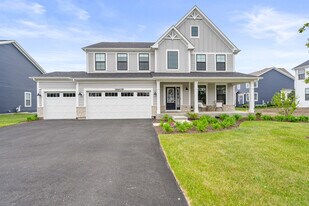 16609 S Silo Bnd Dr in Lockport, IL - Building Photo