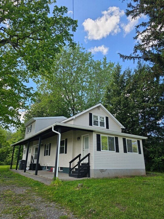 97 Stark St in Waterloo, NY - Building Photo