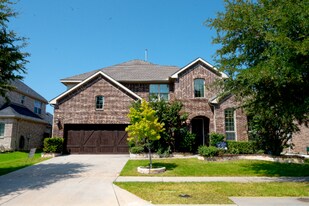13966 Clusterberry Dr in Frisco, TX - Building Photo
