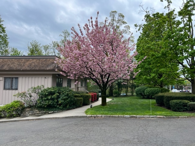 11 Maple Ave, Unit 101 in Greenwich, CT - Foto de edificio