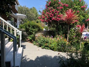39 Locust Ave in Larkspur, CA - Building Photo - Building Photo