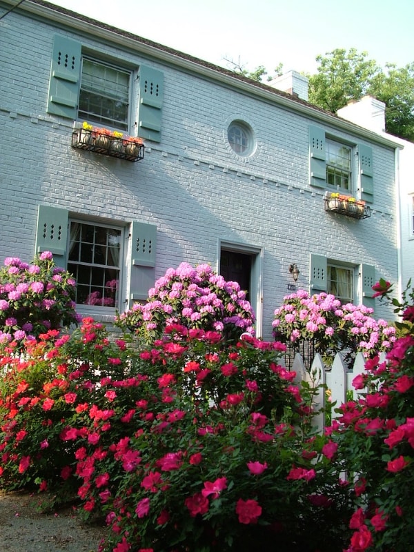 4514 Albemarle St NW in Washington, DC - Building Photo - Building Photo