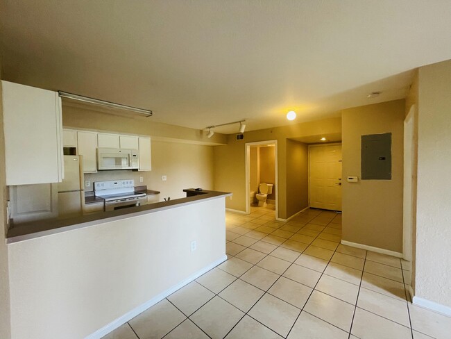 property at 151 SW Palm Dr