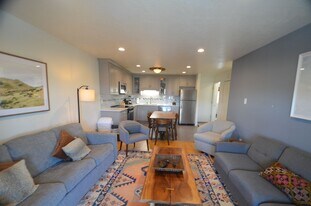 1143 Straight Creek Dr in Dillon, CO - Building Photo