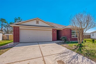 28710 Blanco River Ct in Spring, TX - Building Photo - Building Photo