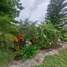 70 Easthampton C in West Palm Beach, FL - Building Photo - Building Photo