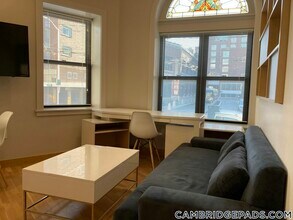 115 Mt Auburn St in Cambridge, MA - Building Photo - Building Photo