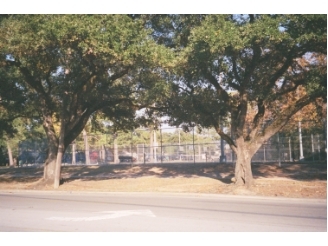 Woodland Park Apartments in Houston, TX - Building Photo - Other