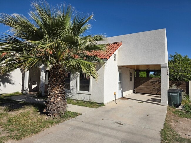 203 W Cantu Rd in Del Rio, TX - Building Photo - Building Photo