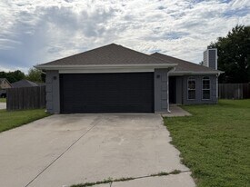501 Summer Tree Ct in Springtown, TX - Building Photo