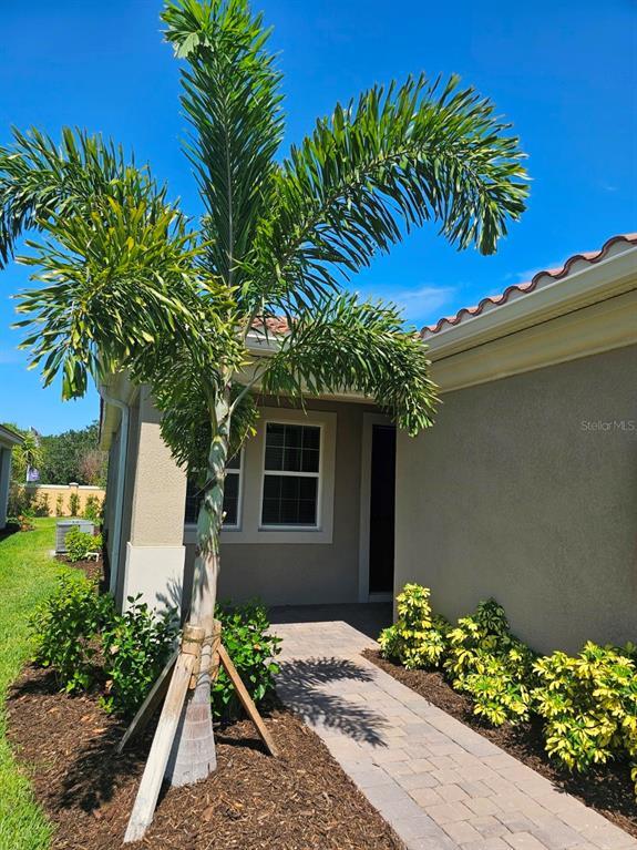 20381 Symphony Pl in Venice, FL - Building Photo - Building Photo