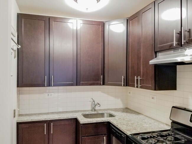 534 W Cornelia Ave, Unit 120 in Chicago, IL - Building Photo - Building Photo