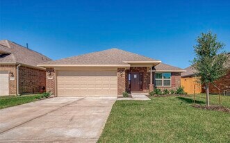 13317 Silver Egret Ln in La Marque, TX - Building Photo
