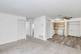 3800 SE 17th Ct in Ocala, FL - Foto de edificio - Building Photo