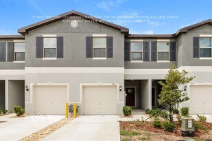 8541 Druid Oaks Ln in New Port Richey, FL - Building Photo