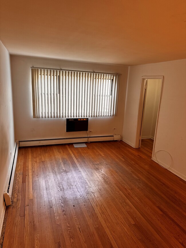 420 W Aldine Ave, Unit 520 in Chicago, IL - Building Photo - Building Photo