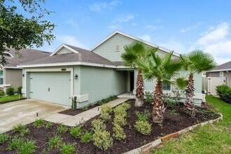 3229 Hidden Meadows Ct in Green Cove Springs, FL - Building Photo - Building Photo