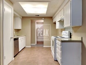 411 Thomas Chapel Dr in Arlington, TX - Building Photo - Building Photo