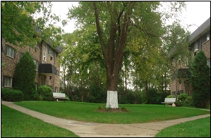 Accent Apartments in Bensenville, IL - Building Photo - Building Photo