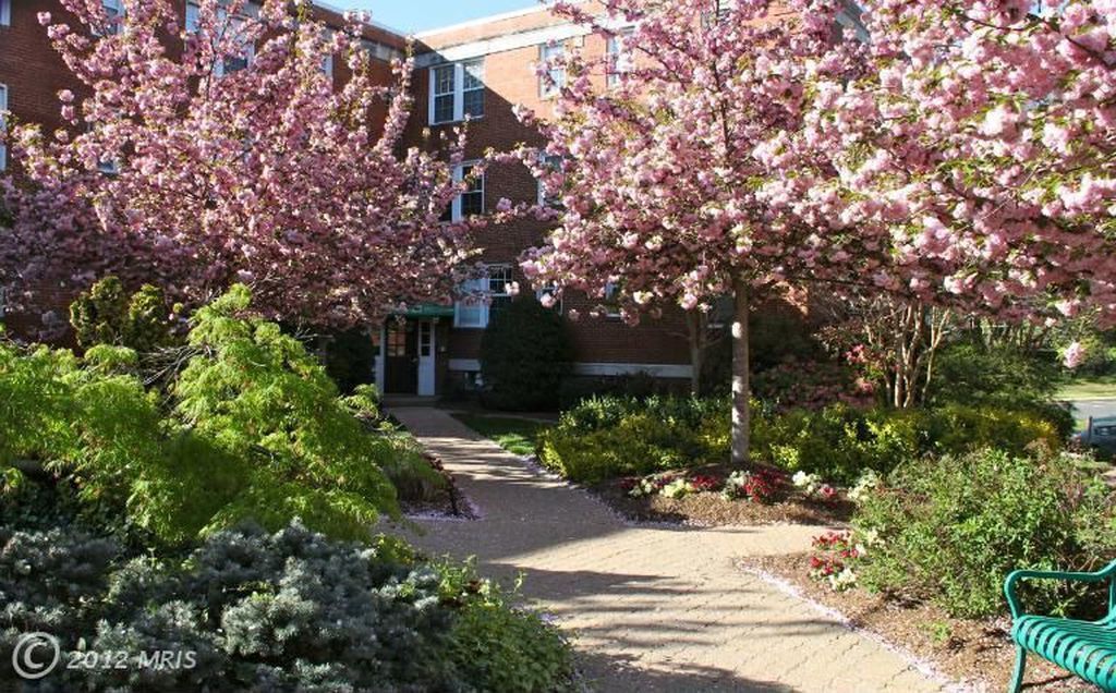 20 S Old Glebe Rd, Unit 302 in Arlington, VA - Foto de edificio