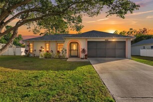 8164 Pagoda Dr in Spring Hill, FL - Building Photo