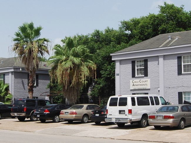 Calli Court Apartments in Houston, TX - Building Photo - Building Photo