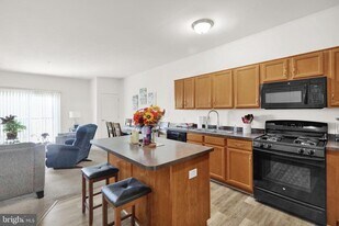 113 Legacy Blvd in Reading, PA - Building Photo