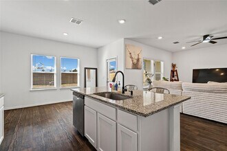 18517 Cremello Dr in Manor, TX - Building Photo - Building Photo