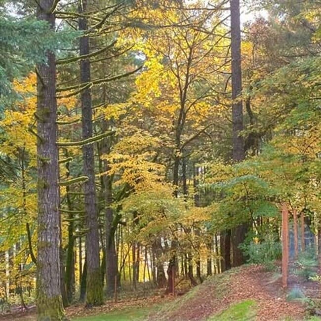 16540 NW Orchard View Rd in McMinnville, OR - Building Photo - Building Photo