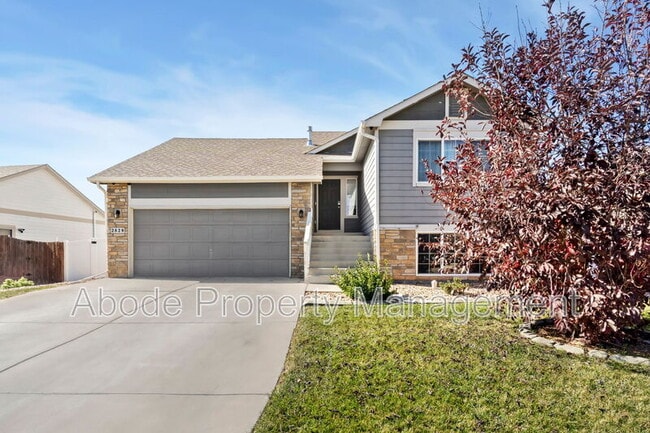 2829 Avocado Ave in Greeley, CO - Building Photo - Building Photo