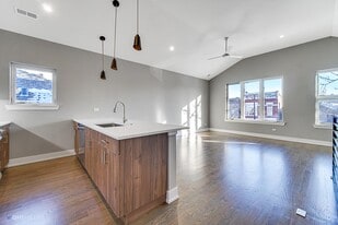 1734 W Cullerton St, Unit 2 in Chicago, IL - Building Photo